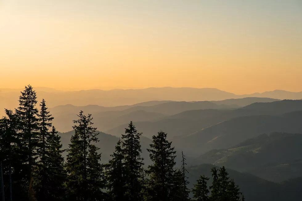 Nadelbäume und Berge bei Sonnenuntergang